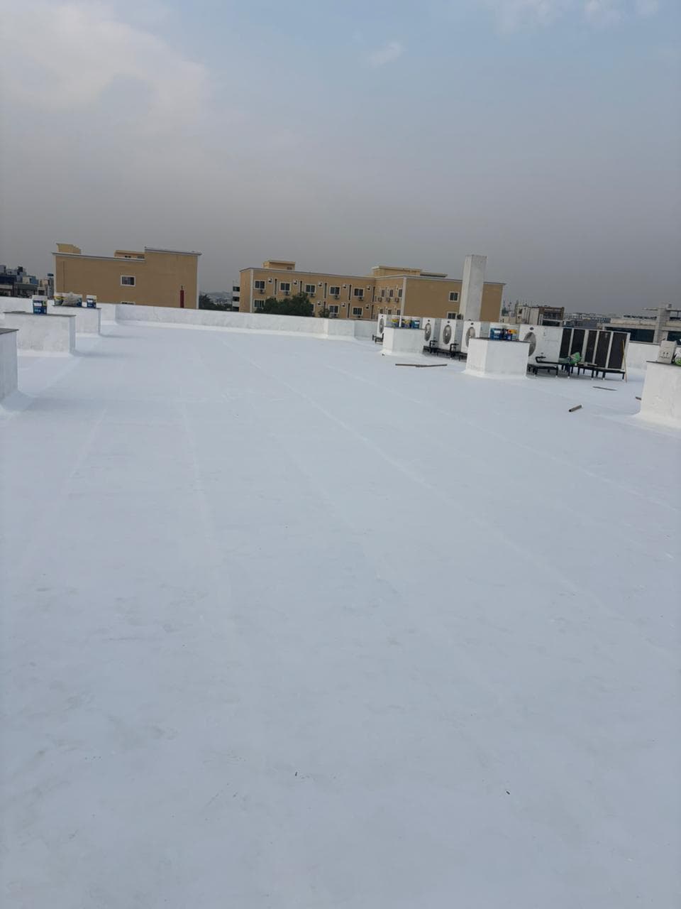 MSN Laboratories — photo 2
