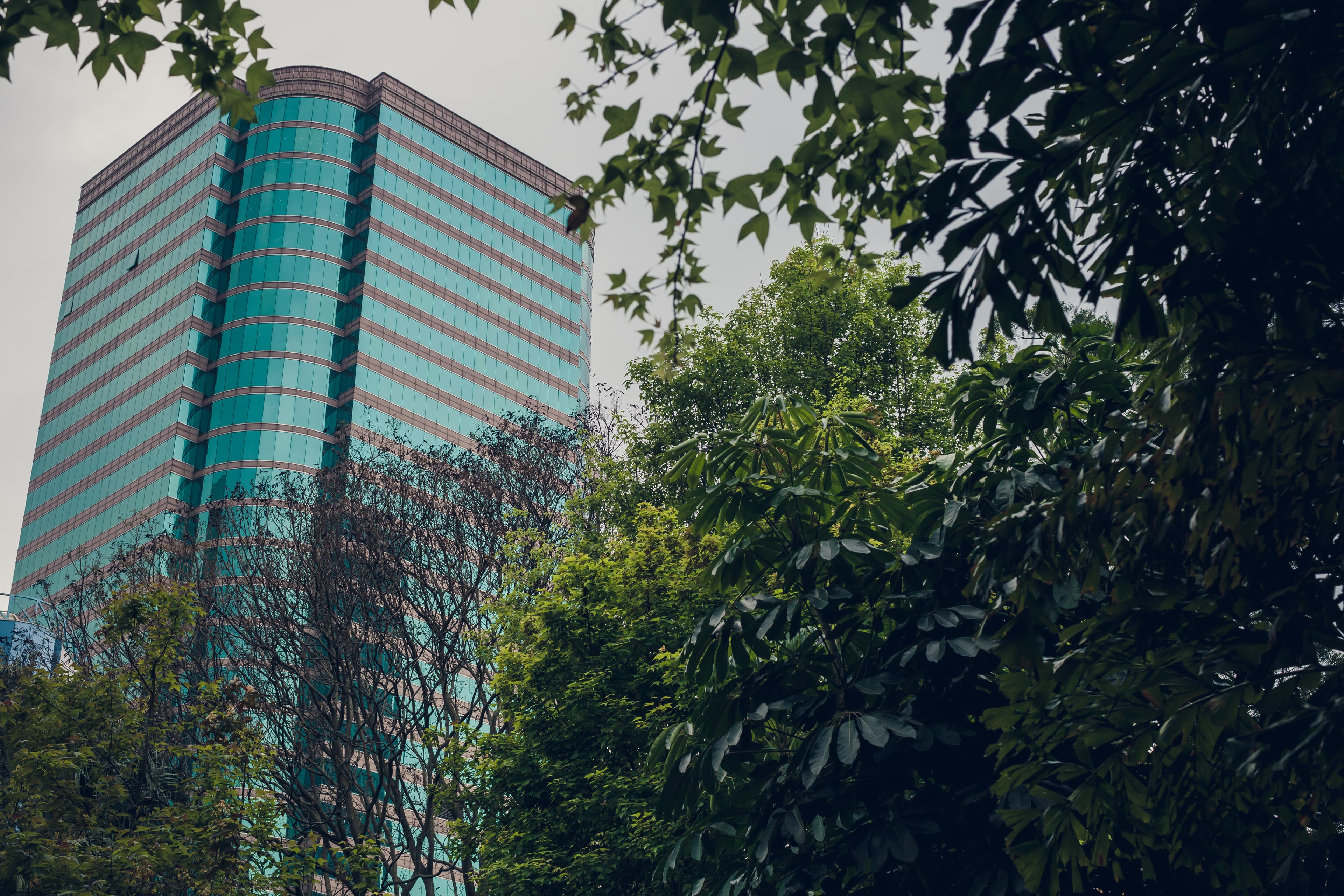 Commercial Buildings — photo 6