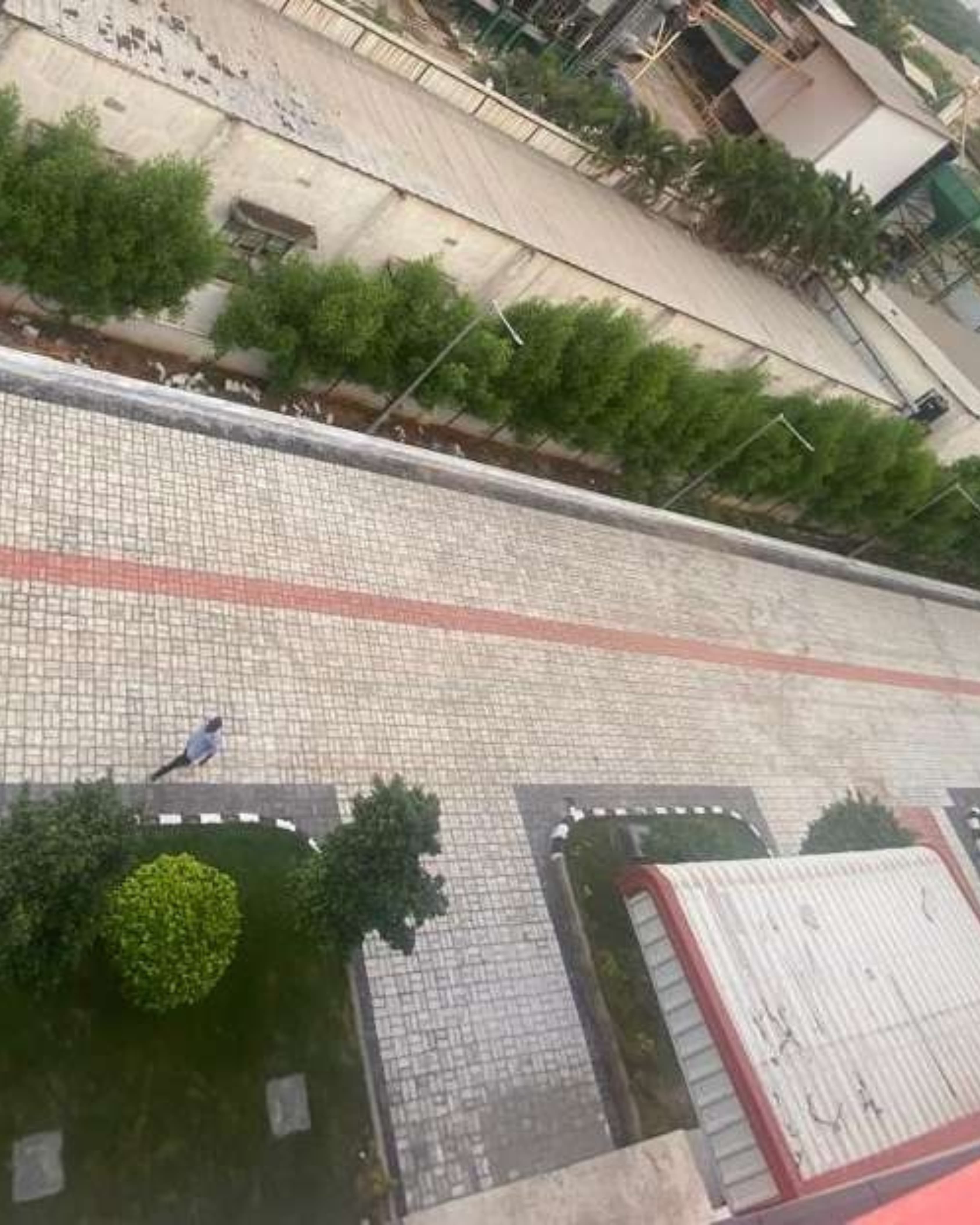 External development — finishing and landscaping